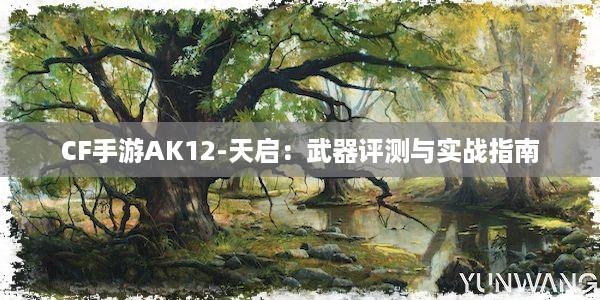 CF手游AK12-天启：武器评测与实战指南