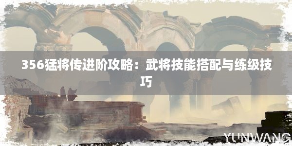 356猛将传进阶攻略：武将技能搭配与练级技巧