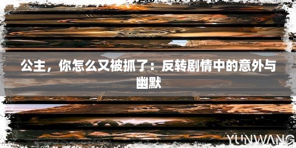 公主，你怎么又被抓了：反转剧情中的意外与幽默