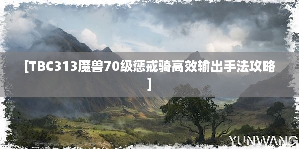 [TBC313魔兽70级惩戒骑高效输出手法攻略]