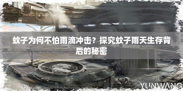 蚊子为何不怕雨滴冲击？探究蚊子雨天生存背后的秘密