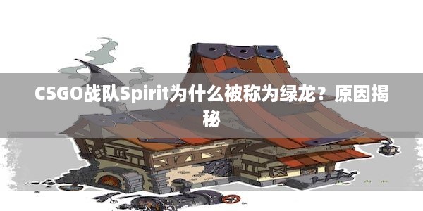 CSGO战队Spirit为什么被称为绿龙？原因揭秘