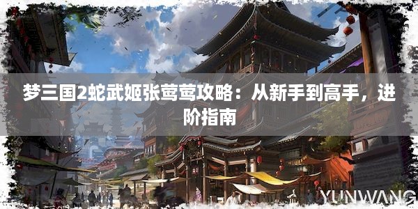 梦三国2蛇武姬张莺莺攻略：从新手到高手，进阶指南