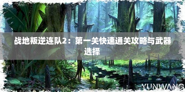 战地叛逆连队2：第一关快速通关攻略与武器选择