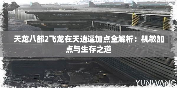 天龙八部2飞龙在天逍遥加点全解析：机敏加点与生存之道