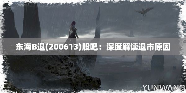 东海B退(200613)股吧：深度解读退市原因