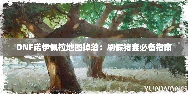 DNF诺伊佩拉地图掉落：刷假猪套必备指南