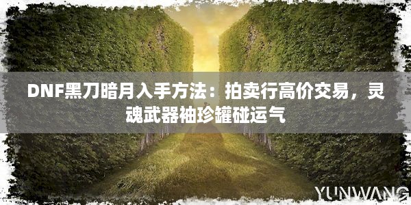 DNF黑刀暗月入手方法：拍卖行高价交易，灵魂武器袖珍罐碰运气