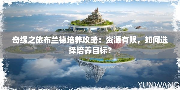 奇缘之旅布兰德培养攻略：资源有限，如何选择培养目标？