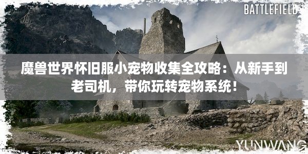 魔兽世界怀旧服小宠物收集全攻略：从新手到老司机，带你玩转宠物系统！