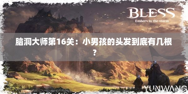 脑洞大师第16关：小男孩的头发到底有几根？