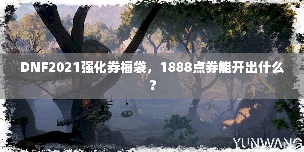 DNF2021强化券福袋，1888点券能开出什么？