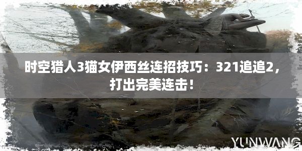 时空猎人3猫女伊西丝连招技巧：321追追2，打出完美连击！