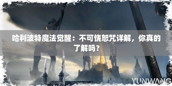 哈利波特魔法觉醒：不可饶恕咒详解，你真的了解吗？