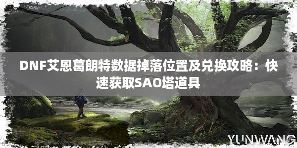 DNF艾恩葛朗特数据掉落位置及兑换攻略：快速获取SAO塔道具