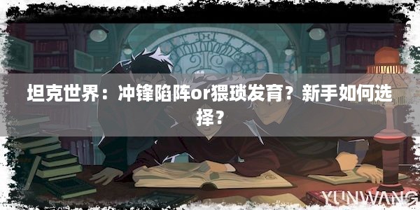 坦克世界：冲锋陷阵or猥琐发育？新手如何选择？