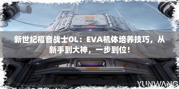 新世纪福音战士OL：EVA机体培养技巧，从新手到大神，一步到位！