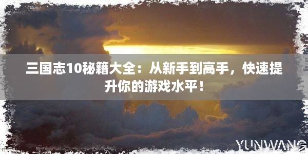 三国志10秘籍大全：从新手到高手，快速提升你的游戏水平！