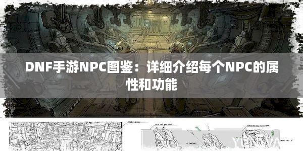 DNF手游NPC图鉴：详细介绍每个NPC的属性和功能