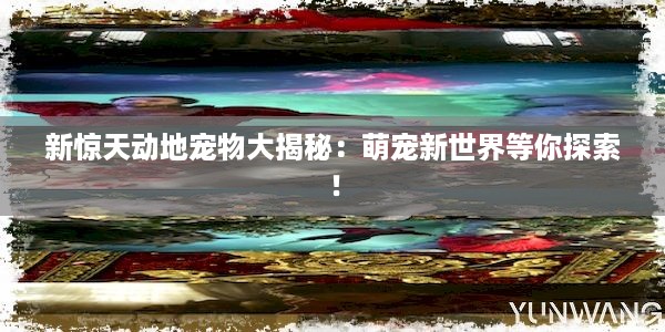 新惊天动地宠物大揭秘：萌宠新世界等你探索！