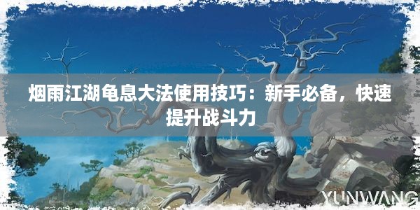 烟雨江湖龟息大法使用技巧：新手必备，快速提升战斗力