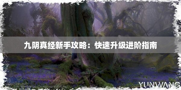 九阴真经新手攻略：快速升级进阶指南