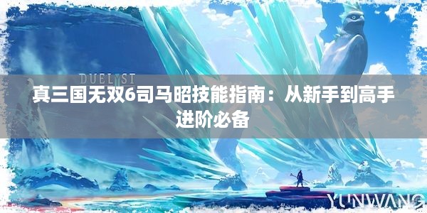 真三国无双6司马昭技能指南：从新手到高手进阶必备