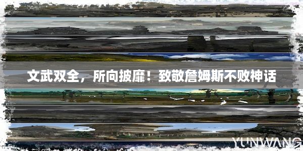 文武双全，所向披靡！致敬詹姆斯不败神话