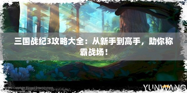 三国战纪3攻略大全：从新手到高手，助你称霸战场！