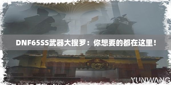 DNF65SS武器大搜罗：你想要的都在这里！