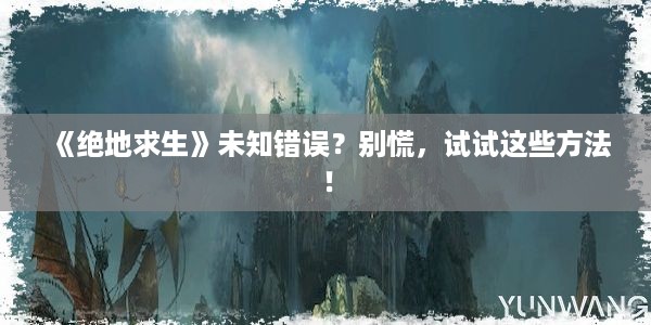 《绝地求生》未知错误？别慌，试试这些方法！