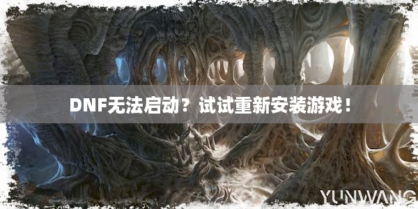 DNF无法启动？试试重新安装游戏！