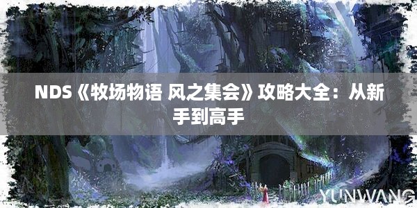 NDS《牧场物语 风之集会》攻略大全：从新手到高手