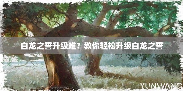 白龙之誓升级难？教你轻松升级白龙之誓