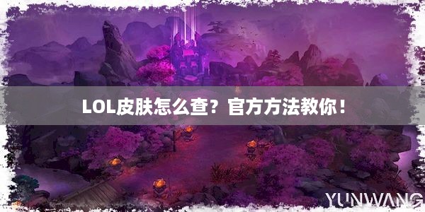 LOL皮肤怎么查？官方方法教你！