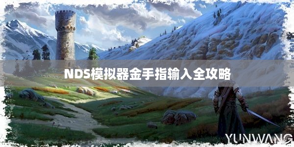 NDS模拟器金手指输入全攻略