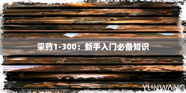 采药1-300：新手入门必备知识