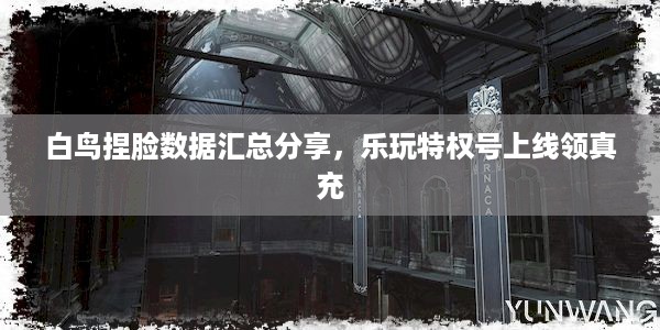 白鸟捏脸数据汇总分享，乐玩特权号上线领真充