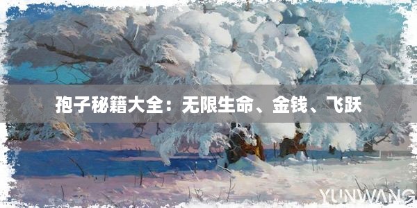 孢子秘籍大全：无限生命、金钱、飞跃