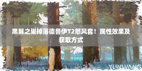 黑翼之巢掉落德鲁伊T2怒风套！属性效果及获取方式