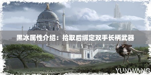 黑冰属性介绍：拾取后绑定双手长柄武器