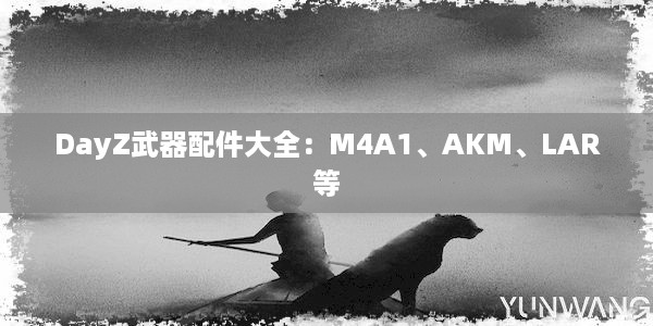 DayZ武器配件大全：M4A1、AKM、LAR等