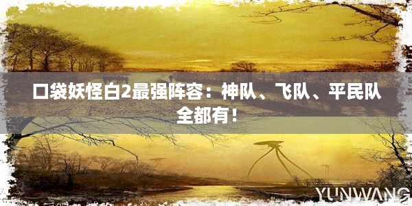 口袋妖怪白2最强阵容：神队、飞队、平民队全都有！