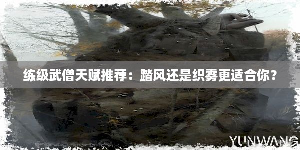 练级武僧天赋推荐：踏风还是织雾更适合你？