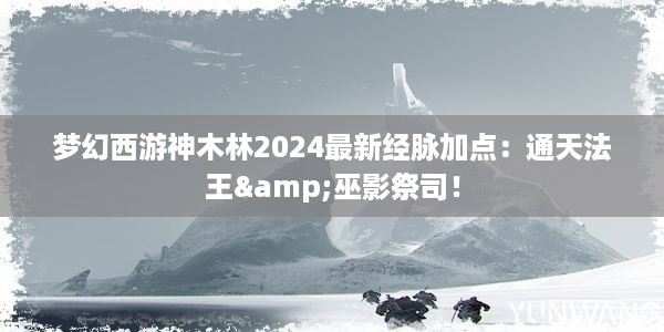 梦幻西游神木林2024最新经脉加点：通天法王&巫影祭司！