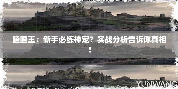 瞌睡王：新手必练神宠？实战分析告诉你真相！