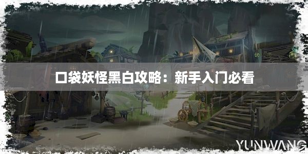 口袋妖怪黑白攻略：新手入门必看