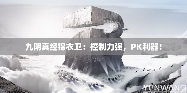 九阴真经锦衣卫：控制力强，PK利器！