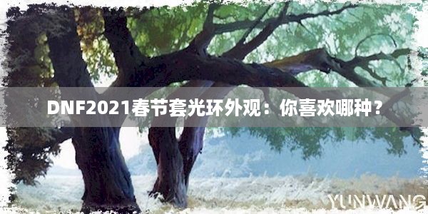 DNF2021春节套光环外观：你喜欢哪种？