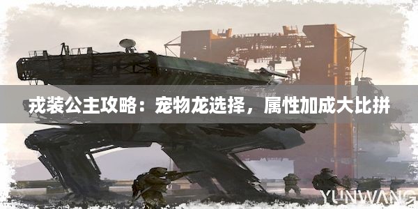 戎装公主攻略：宠物龙选择，属性加成大比拼